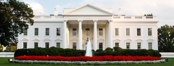 Business Taxation Attorneys Discuss Tax Policy Changes Under Trump Administration in Tax Notes