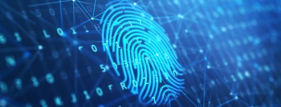 David Kim Details Ways for Safeguarding Personal Identity in the AI Age in New York Law Journal